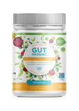 Gut Performance Original 250g