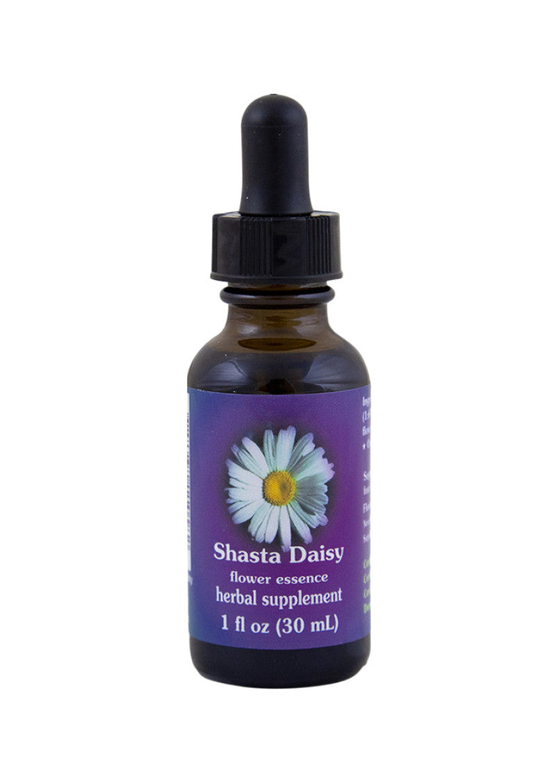 FES Org Flower Ess Quintessentials Shasta Daisy 30ml