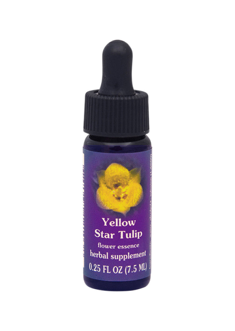 Fes Org Flower Ess Quintessent Yellow Star Tulip 7.5ml