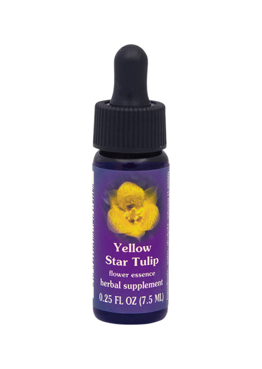 FES Org Flower Ess Quintessentials Yellow Star Tulip 7.5ml