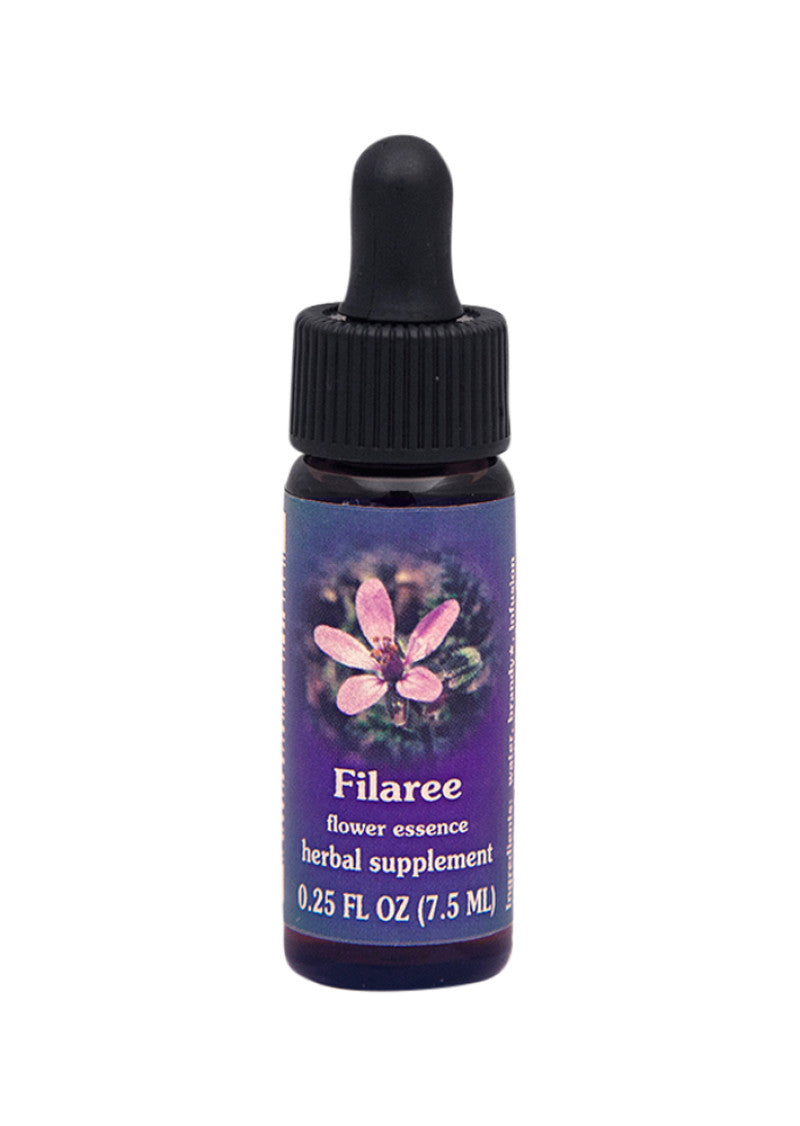 FES Org Flower Ess Quintessentials Filaree 7.5ml