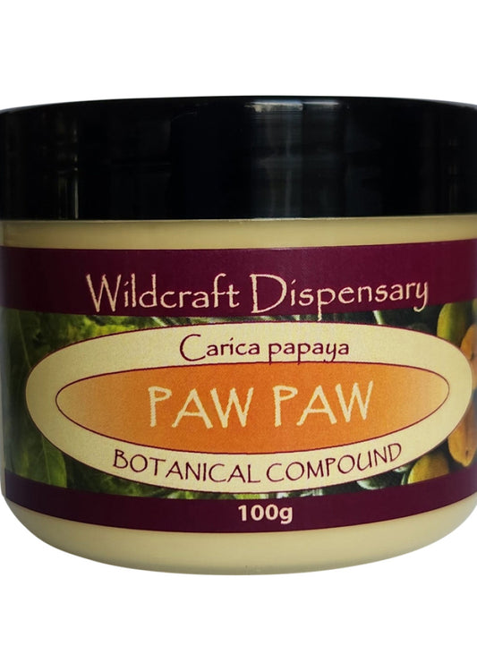 Wildcraft Dispensary Ointment Paw Paw 100g