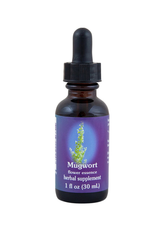 FES Org Flower Ess Quintessentials Mugwort 30ml