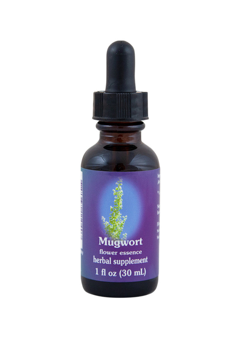 Fes Org Flower Ess Quintessent Mugwort 30ml