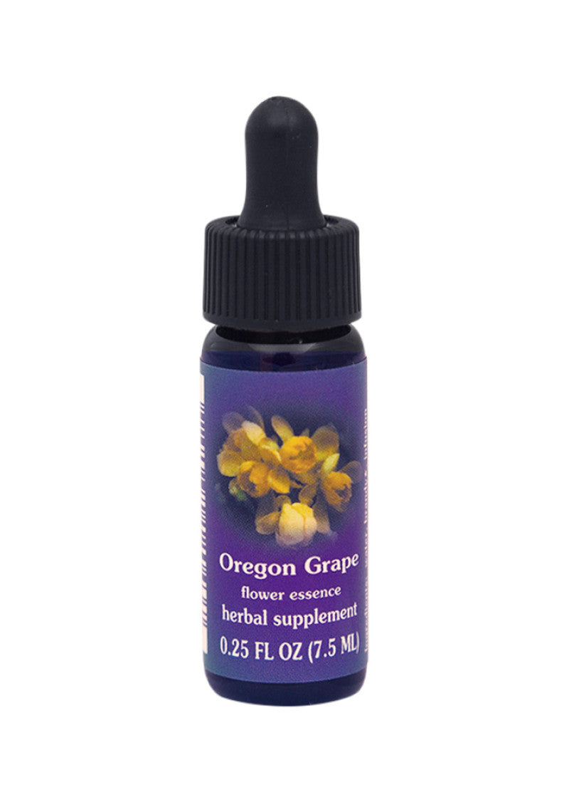 Fes Org Flower Ess Quintessent Oregon Grape 7.5ml