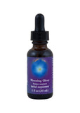 FES Org Flower Ess Quintessentials Morning Glory 30ml