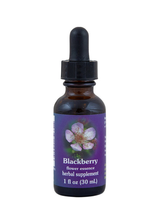 Fes Org Flower Ess Quintessent Blackberry 30ml