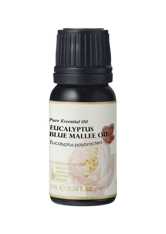 Ausganica Org Essential Oil Eucalyptus Blue Mallee 10ml