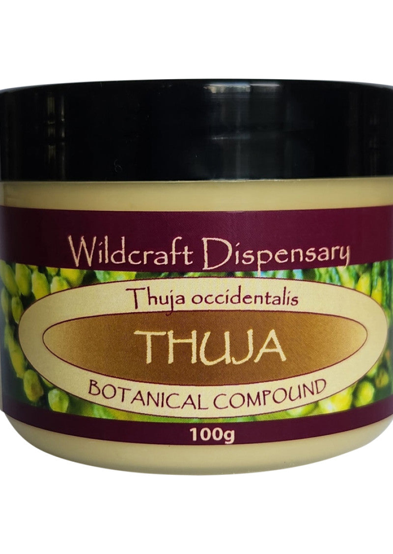 Wildcraft Dispensary Ointment Thuja 100g