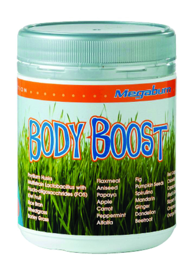 MegaBurn Body Boost 240g