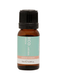 ECO Mod Ess Essential Oil Blend Detox 10ml