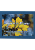 Fes Cards Affirm A Flower Bach Flower Essence Set X 39