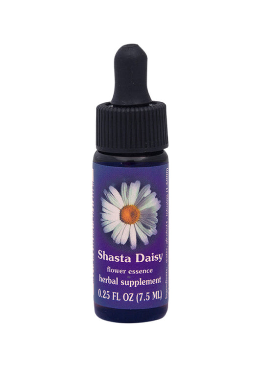 FES Org Flower Ess Quintessentials Shasta Daisy 7.5ml