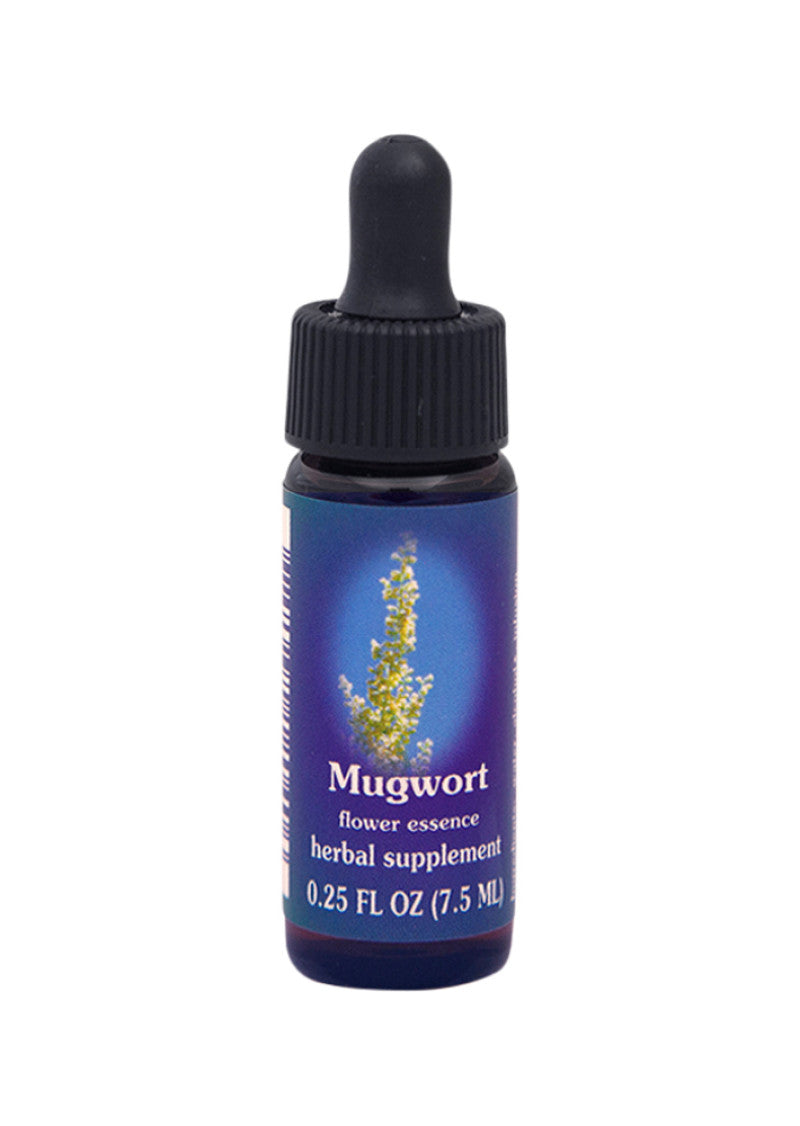 Fes Org Flower Ess Quintessent Mugwort 7.5ml