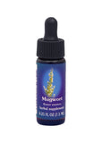 FES Org Flower Ess Quintessentials Mugwort 7.5ml