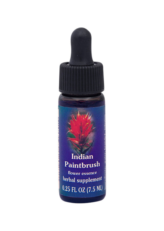 FES Org Flower Ess Quintessentials Indian Paintbrush 7.5ml