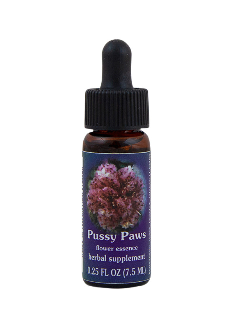 FES Org Flower Ess Range Of Light Pussy Paws 7.5ml