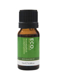 ECO Mod Ess Essential Oil Eucalyptus 10ml