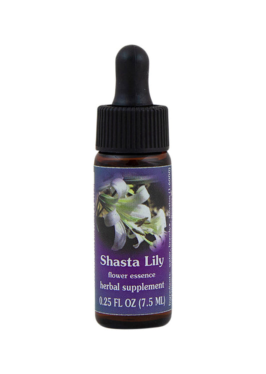 Fes Org Flower Ess Range Light Shasta Lily 7.5ml