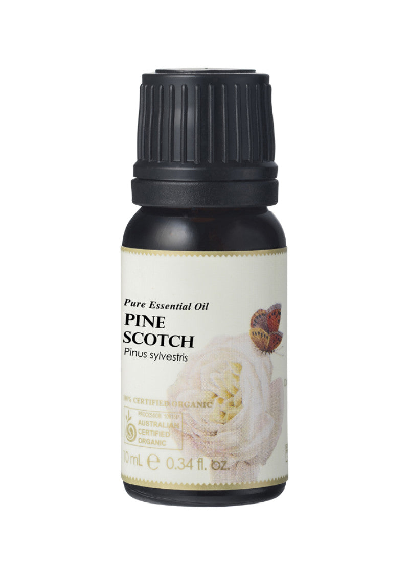 Ausganica Org Essential Oil Pine Scotch 10ml