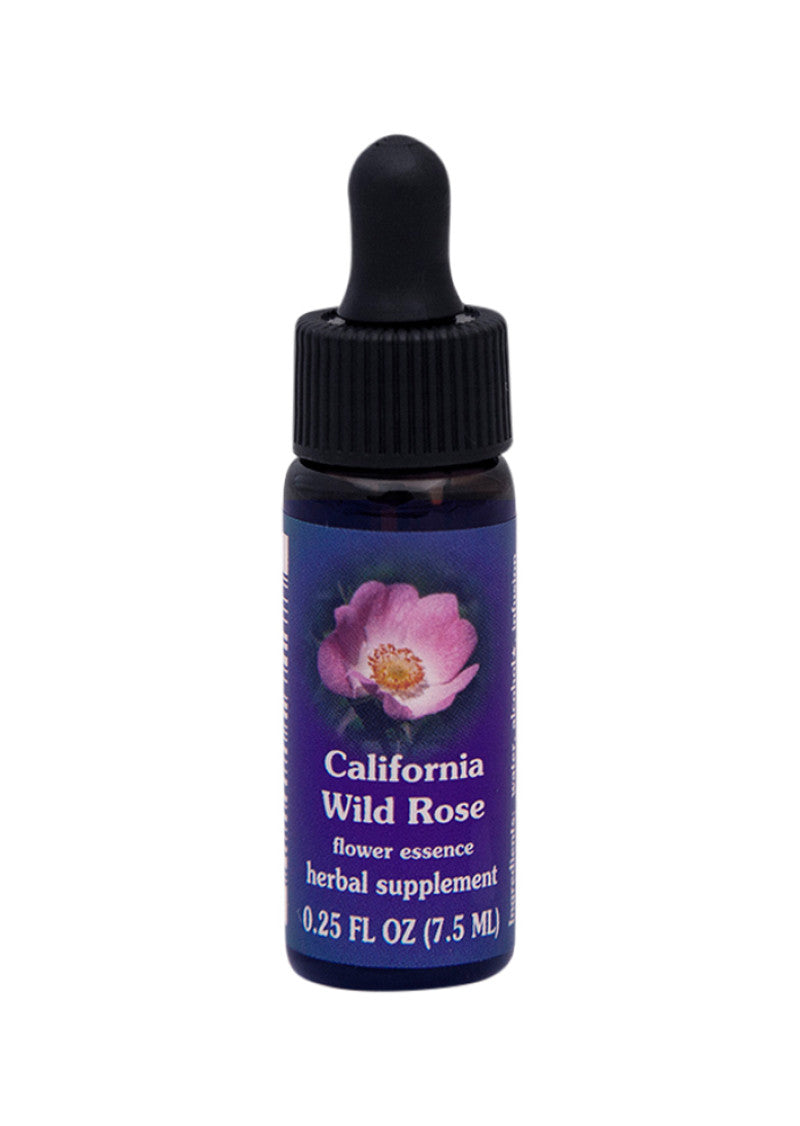 FES Org Flower Ess Quintessentials California Wild Rose 7.5ml