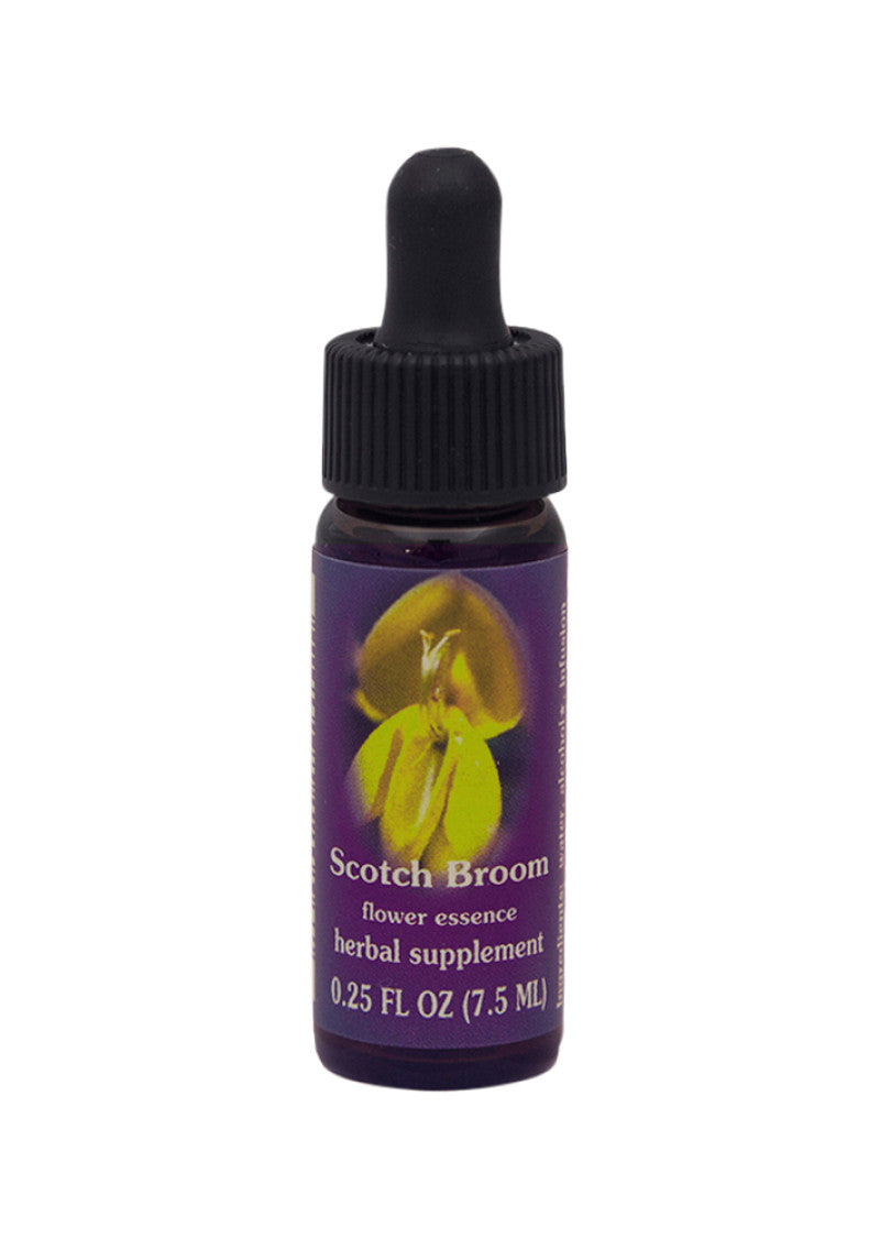 FES Org Flower Ess Quintessentials Scotch Broom 7.5ml