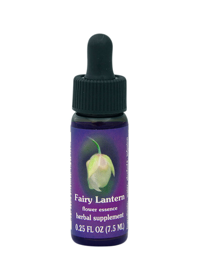 FES Org Flower Ess Quintessentials Fairy Lantern 7.5ml