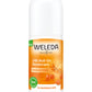 Weleda Deodorant Roll On 24hr Sea Buckthorn 50ml