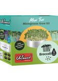 Untamed Health Mini Tini Microgreens Grow Kit Broccoli