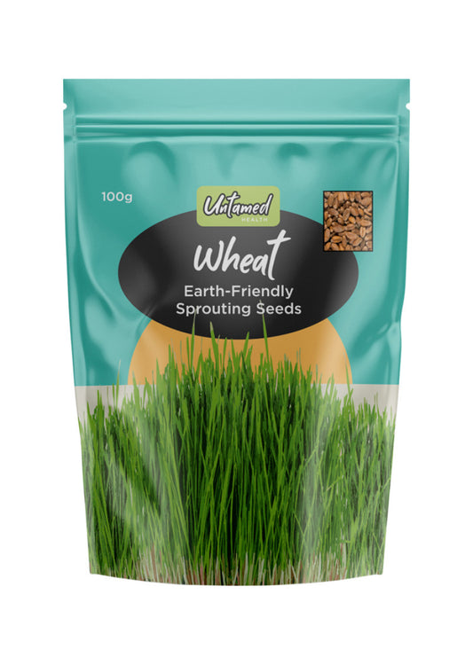 Untamed Health Sprouting Seeds Wheat 100g