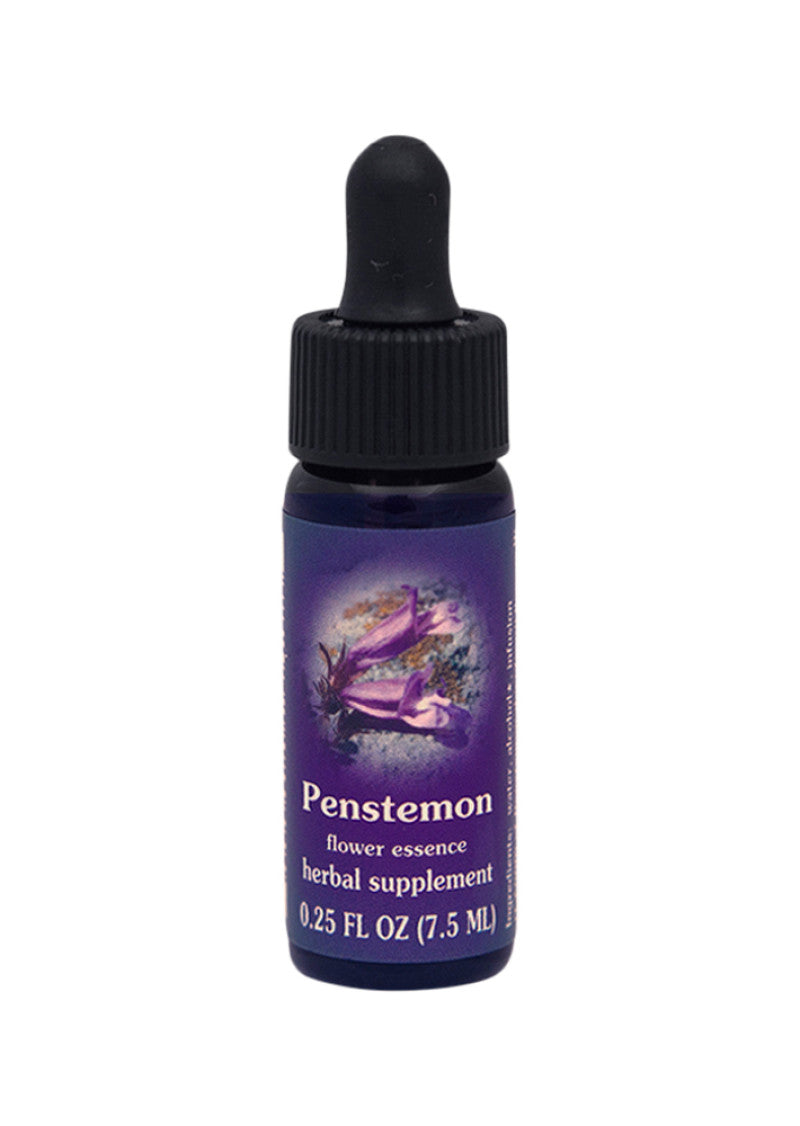 FES Org Flower Ess Quintessentials Penstemon 7.5ml