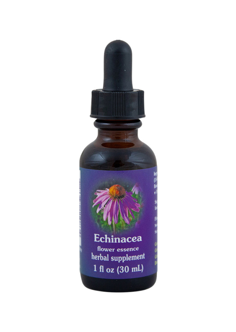 FES Org Flower Ess Quintessentials Echinacea 30ml