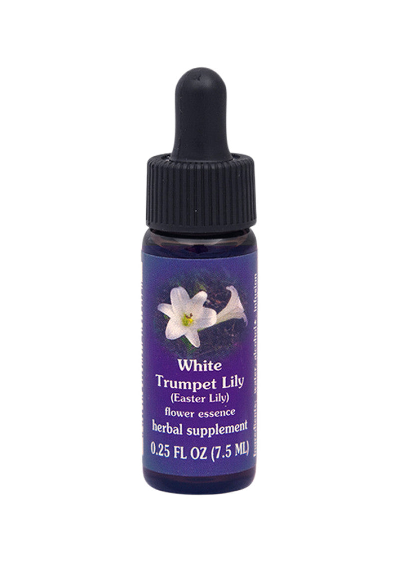 FES Org Flower Ess Quintessentials White Trumpet Lily (Easter Lily) 7.5ml