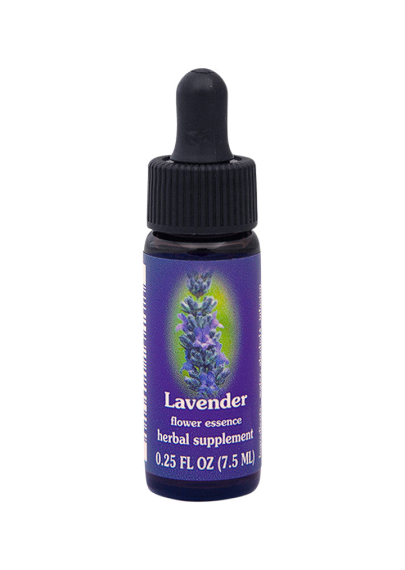 FES Org Flower Ess Quintessentials Lavender 7.5ml