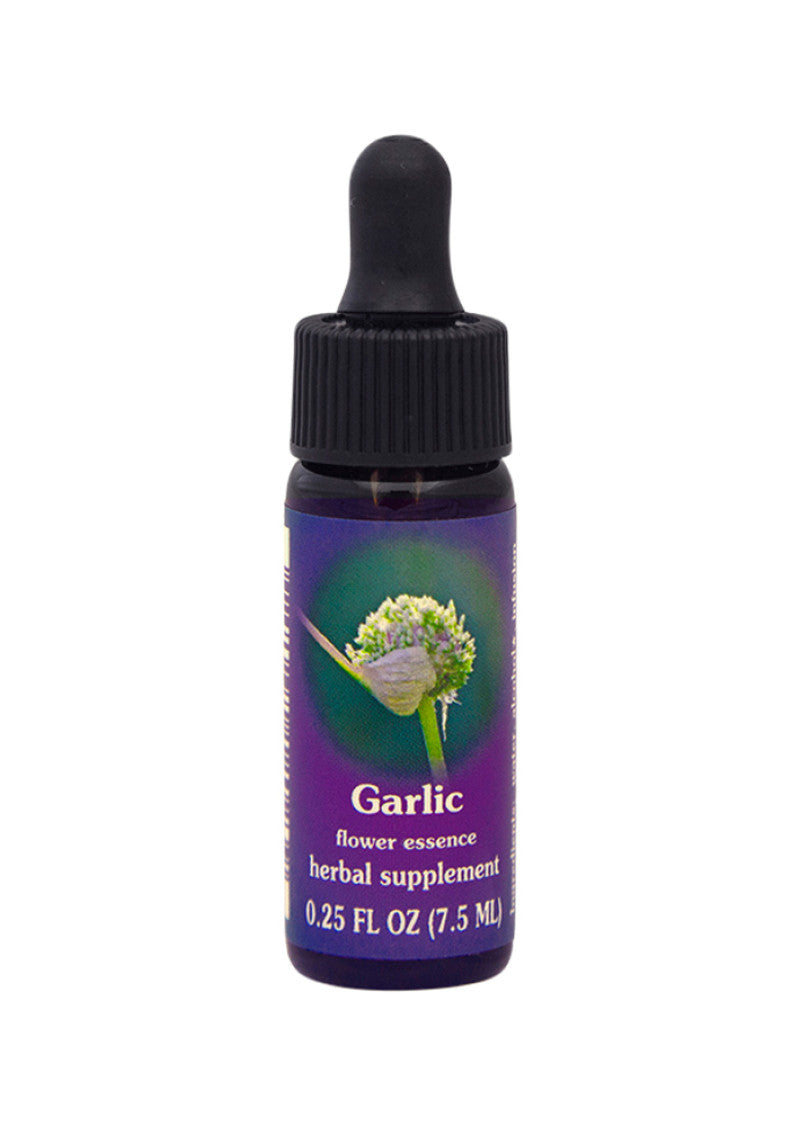 FES Org Flower Ess Quintessentials Garlic 7.5ml