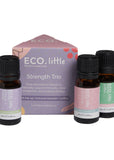 ECO Mod Ess Little Essential Oil Trio Strength 10ml x 3 Pack