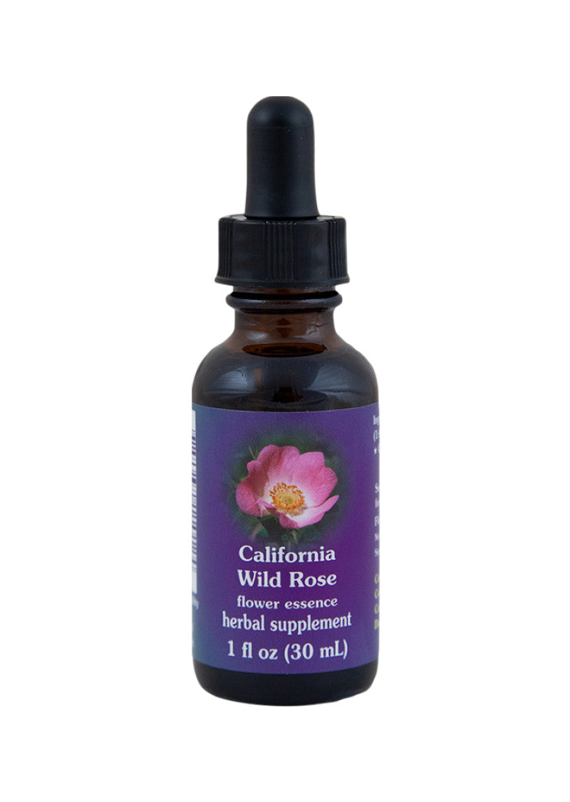 Fes Org Flower Ess Quintessent California Wild Rose 30ml