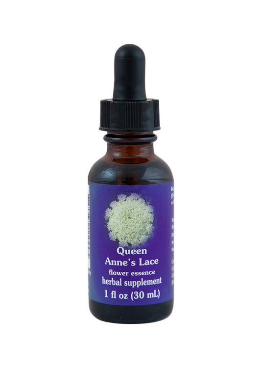 FES Org Flower Ess Quintessentials Queen Anne's Lace 30ml