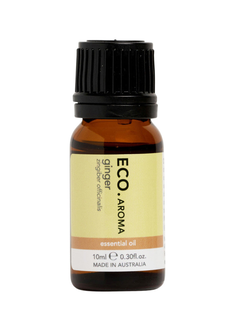 Eco Mod Ess Essential Oil Ginger 10ml