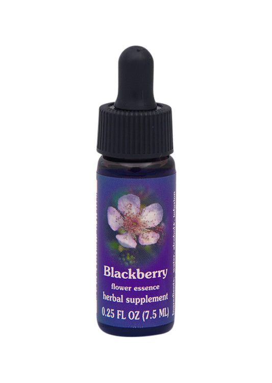 Fes Org Flower Ess Quintessent Blackberry 7.5ml