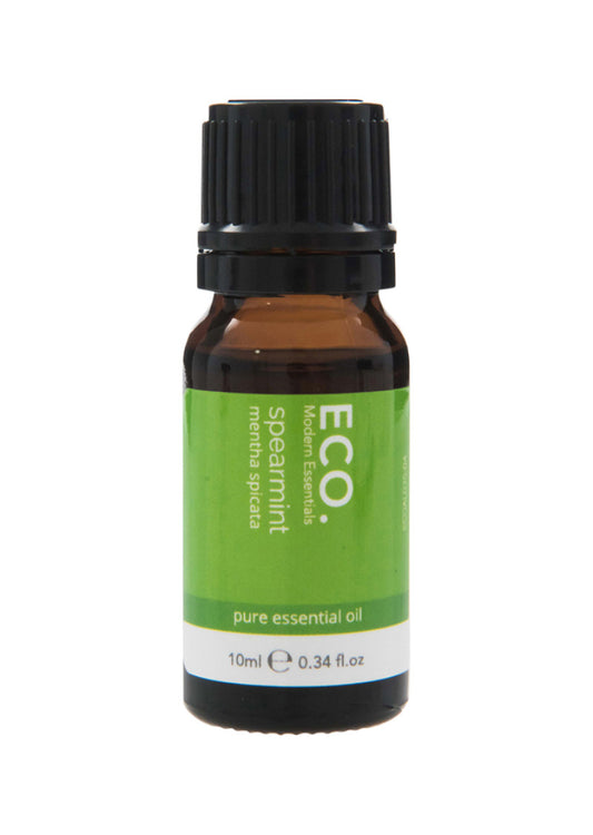 Eco Mod Ess Essential Oil Spearmint 10ml