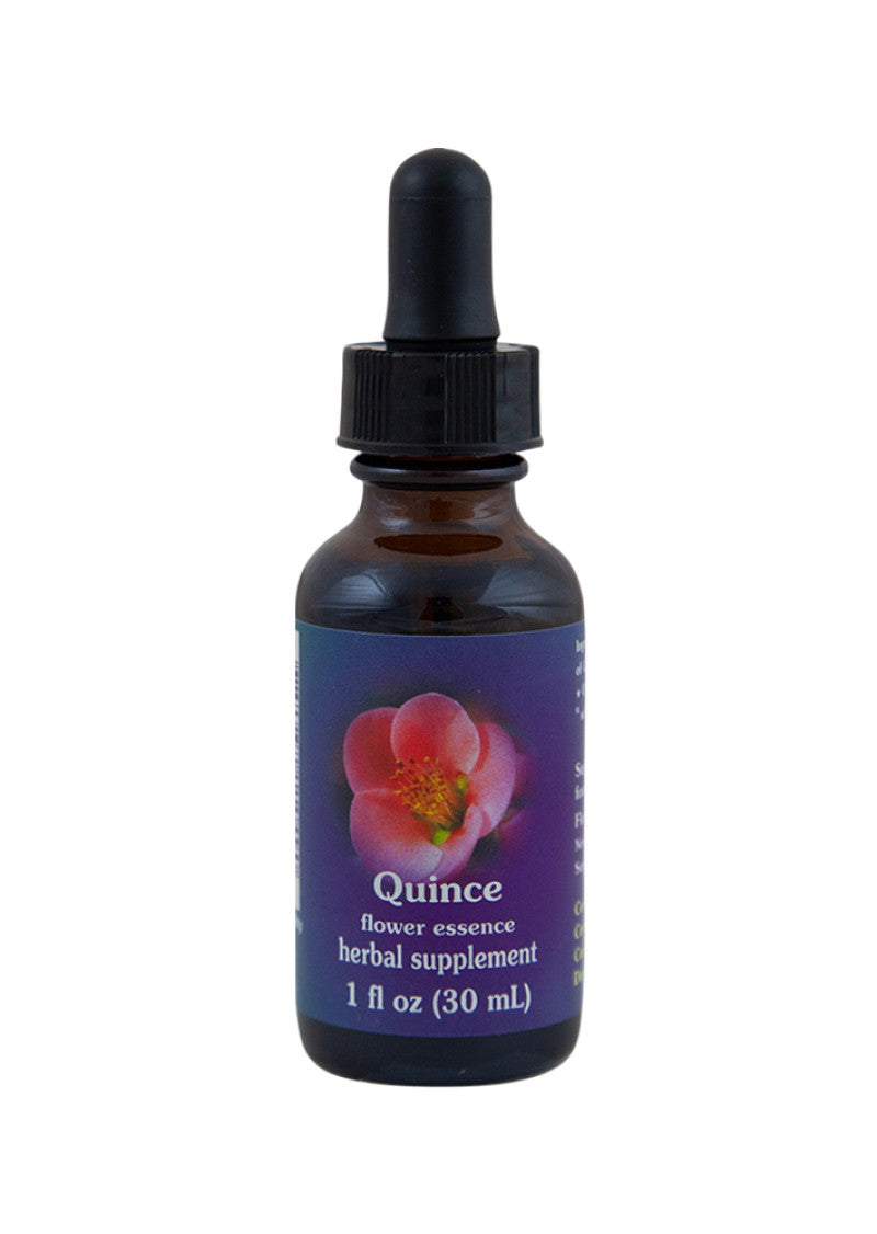 FES Org Flower Ess Quintessentials Quince 30ml