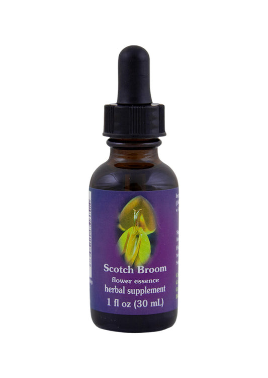 FES Org Flower Ess Quintessentials Scotch Broom 30ml