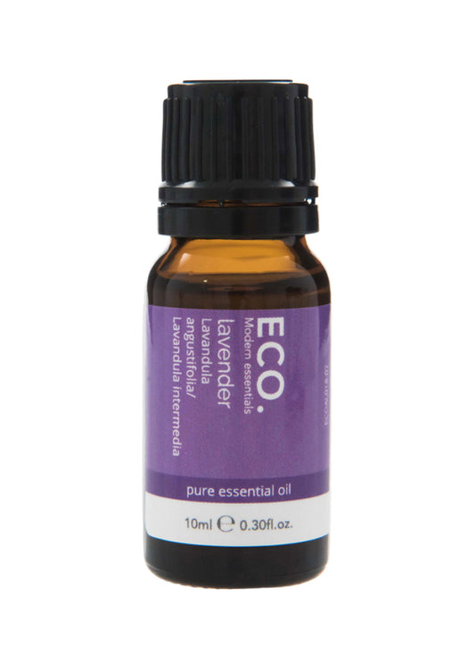 ECO Mod Ess Essential Oil Lavender 10ml