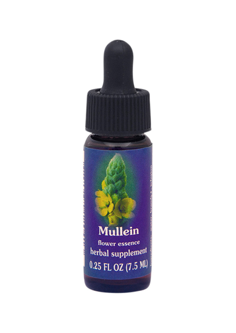 FES Org Flower Ess Quintessentials Mullein 7.5ml